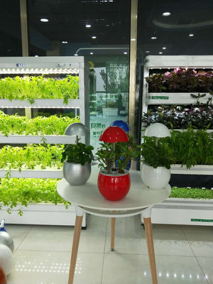 定制植物净化器 家庭型植物工厂种菜机 教学仪器有机绿色蔬菜全智能种植机